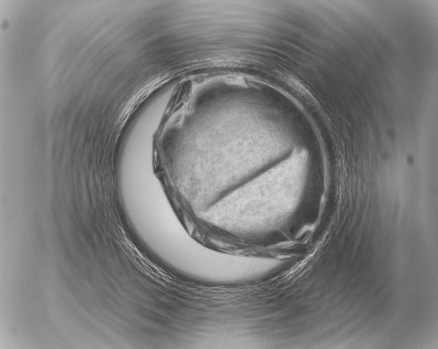 X0000052640930200507221812