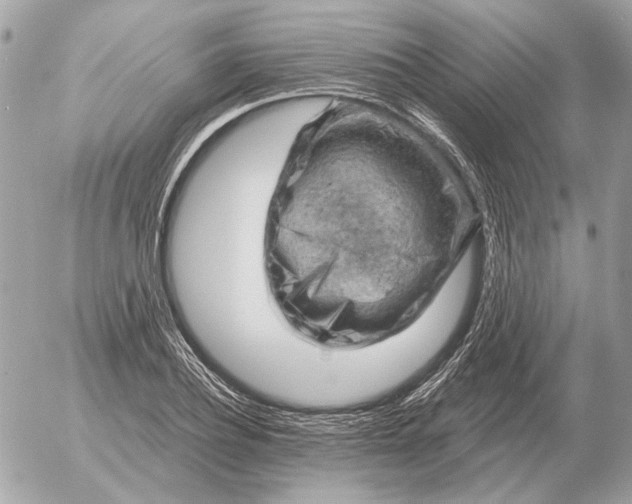 X0000052640932200507221812