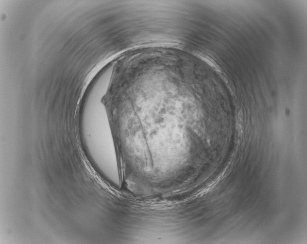 X0000052640933200507221812