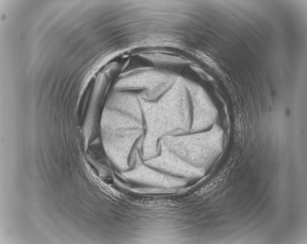 X0000052640934200507221812