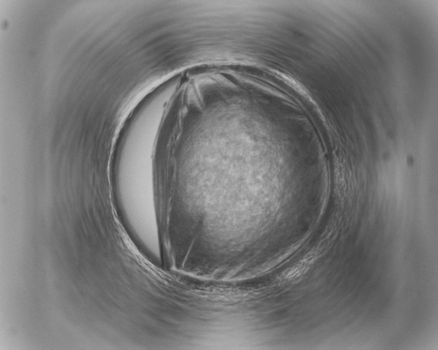 X0000052640935200507221812