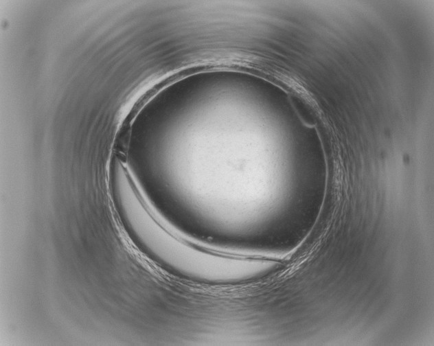 X0000052640936200507221812