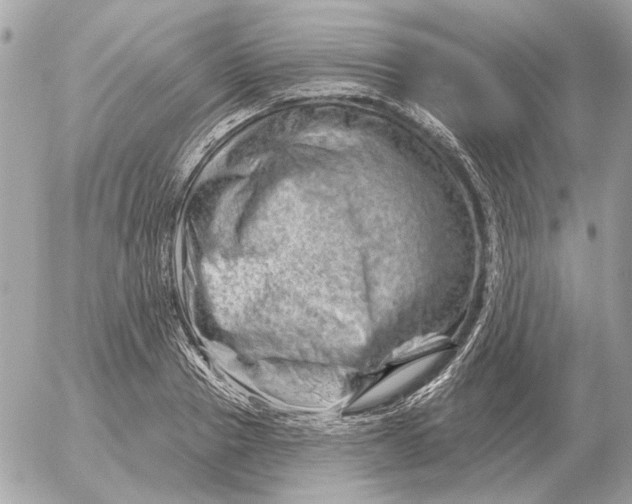 X0000052640937200507221812