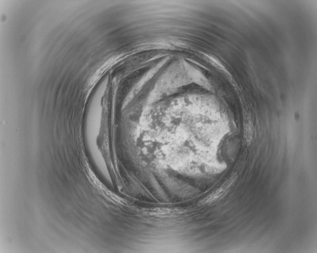 X0000052640938200507221812