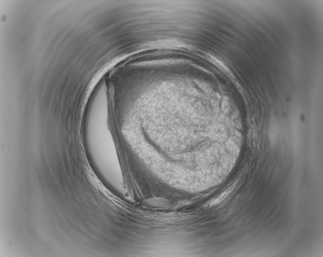 X0000052640939200507221812