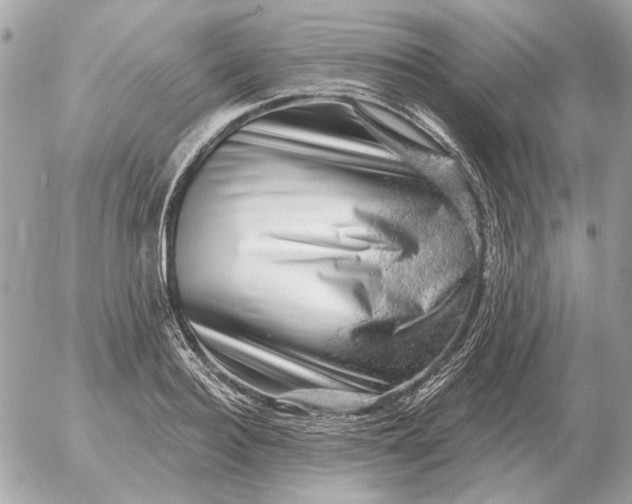 X0000052640940200507221812