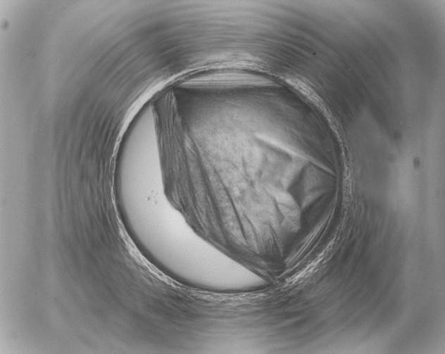 X0000052640941200507221812