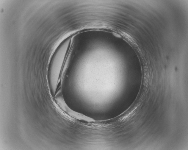 X0000052640942200507221812