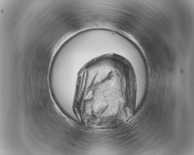 X0000052640943200507221812