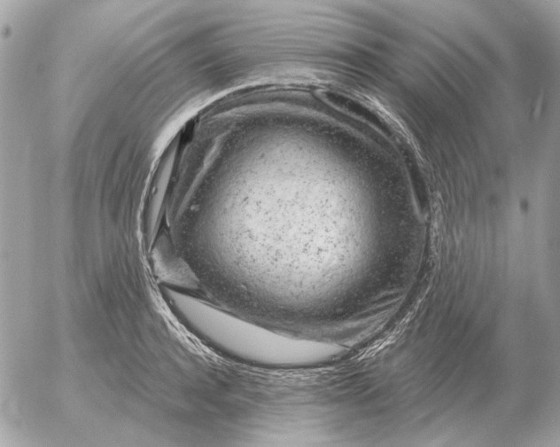 X0000052640944200507221812