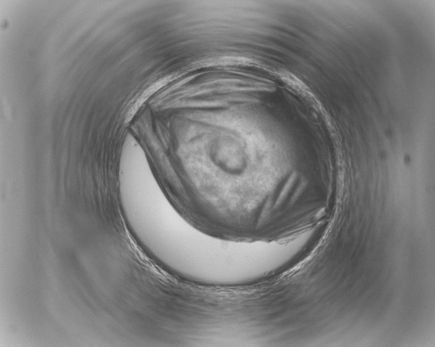 X0000052640945200507221812