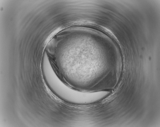 X0000052640946200507221812