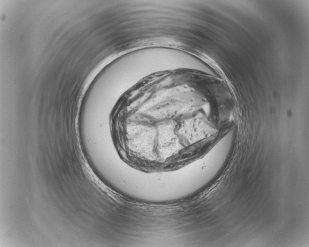 X0000052640947200507221812