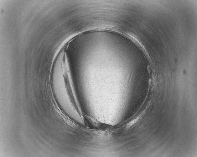 X0000052640948200507221812