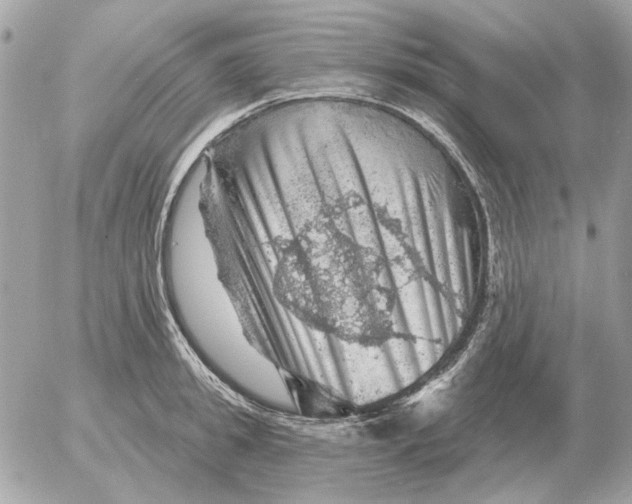 X0000052640949200507221812