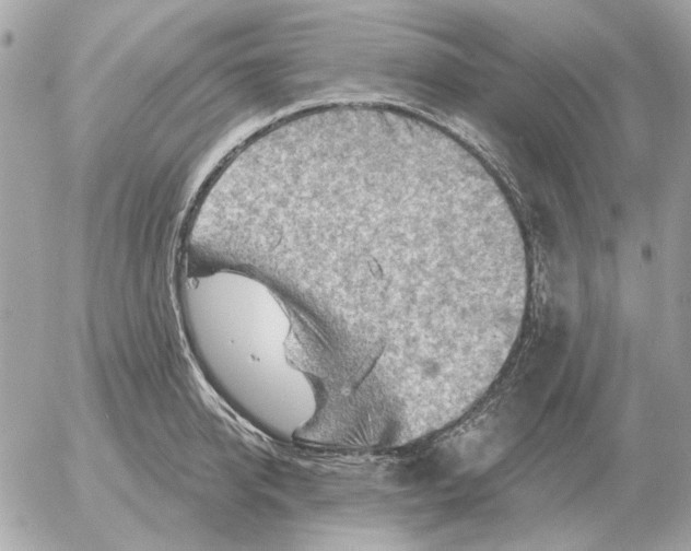 X0000052640950200507221812