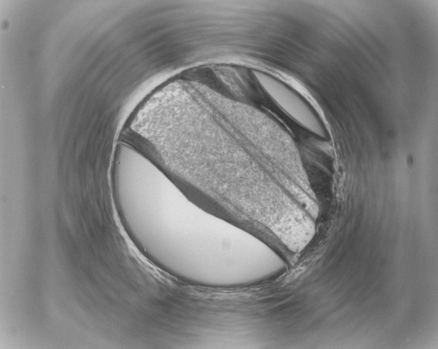 X0000052640951200507221812