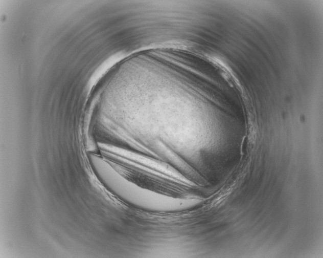 X0000052640952200507221812