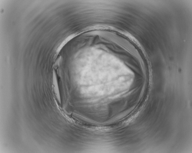 X0000052640953200507221812