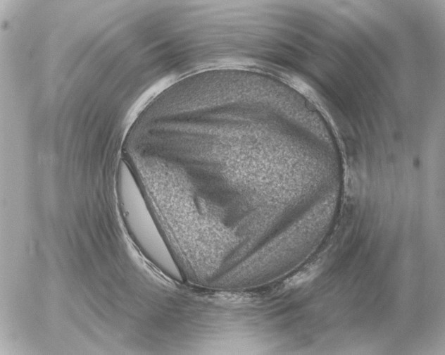 X0000052640954200507221812