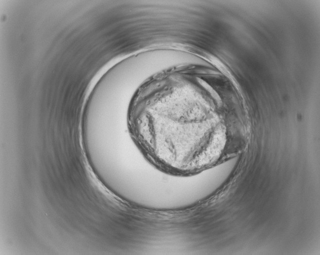 X0000052640955200507221812