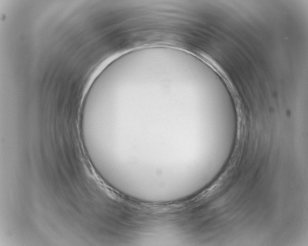 X0000052640956200507221812