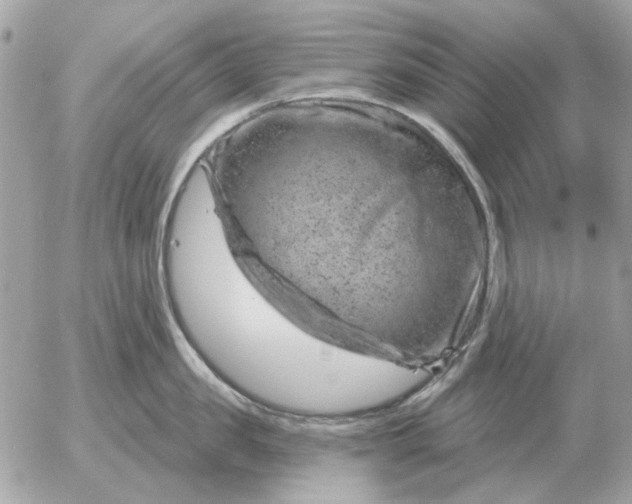 X0000052640957200507221812