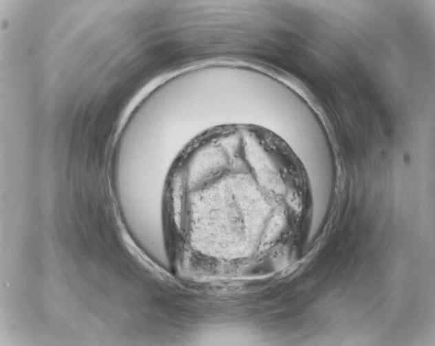 X0000052640958200507221812