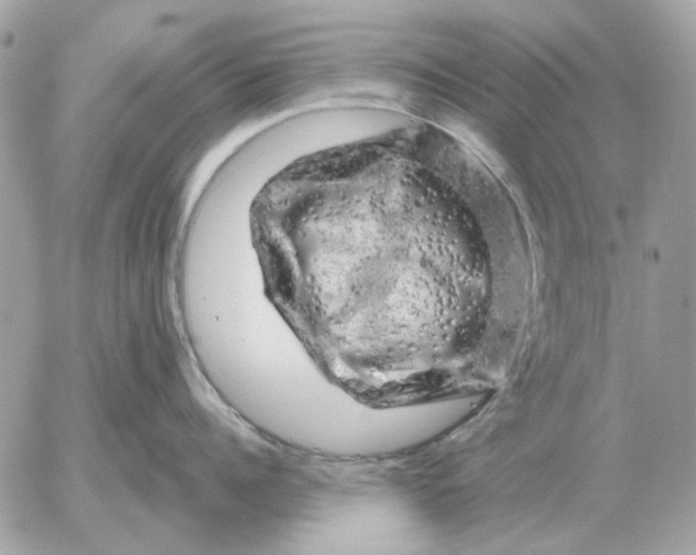 X0000052640960200507221812