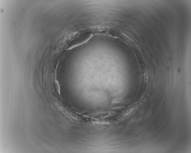 X0000052640961200507221811