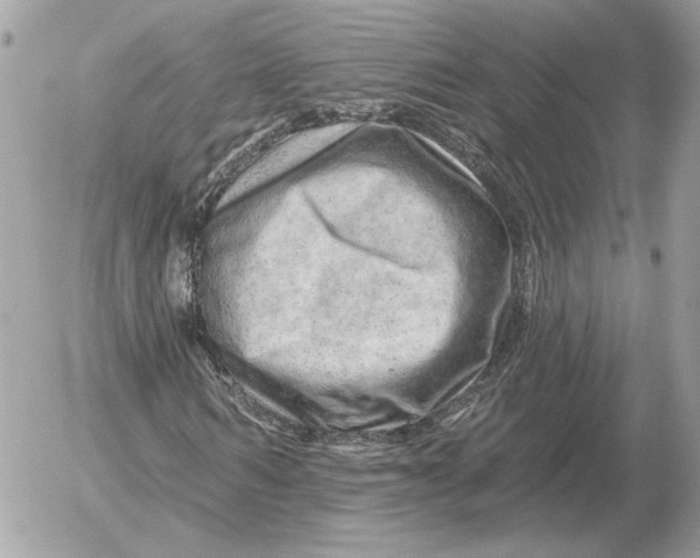 X0000052640962200507221811