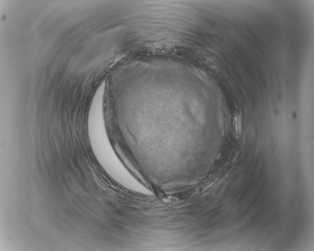 X0000052640963200507221811