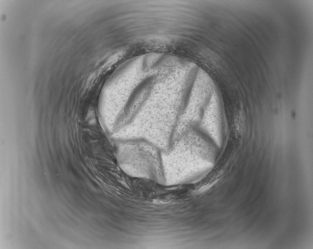 X0000052640964200507221811