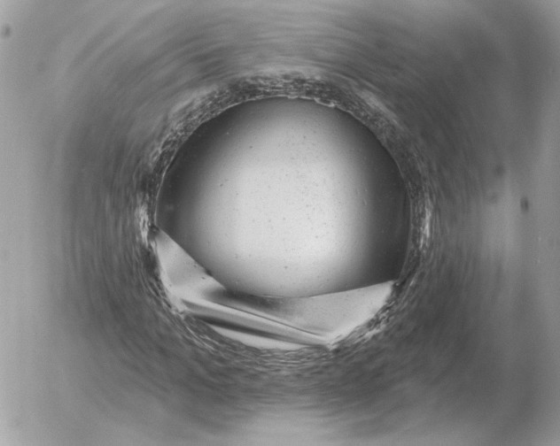 X0000052640965200507221811