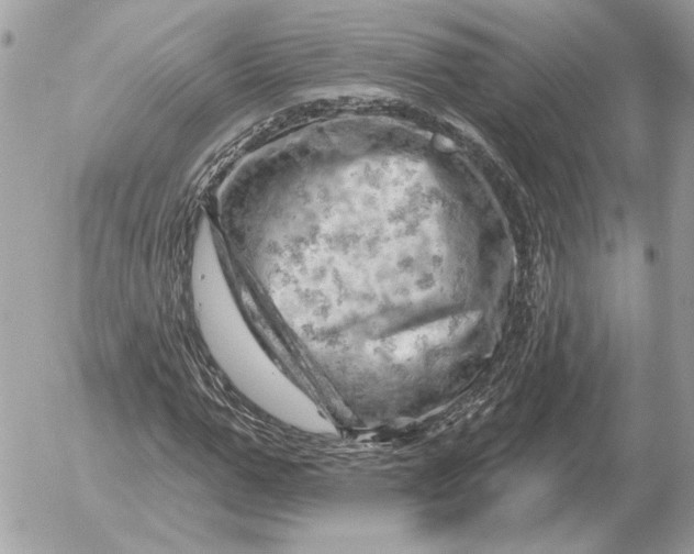 X0000052640967200507221811