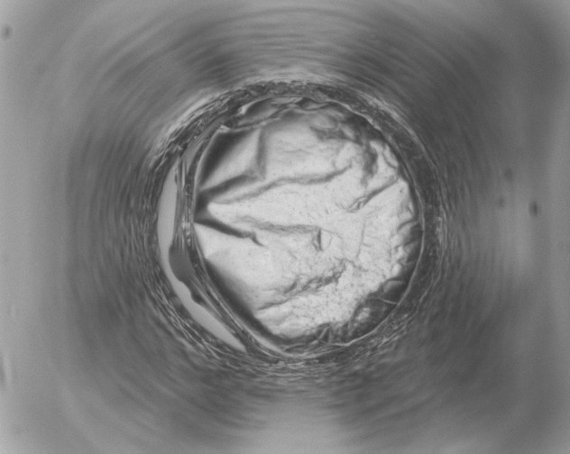 X0000052640968200507221811