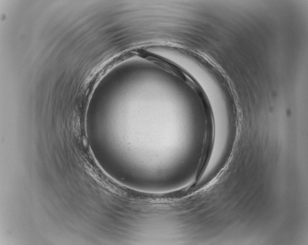 X0000052640969200507221811