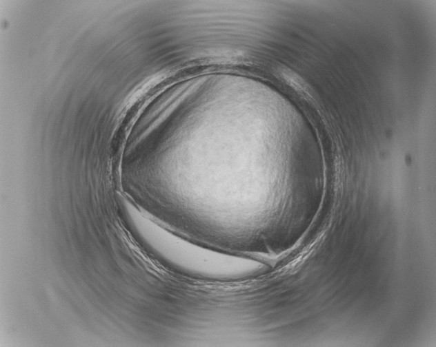 X0000052640970200507221811