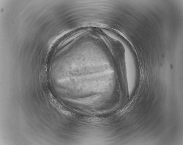 X0000052640971200507221811