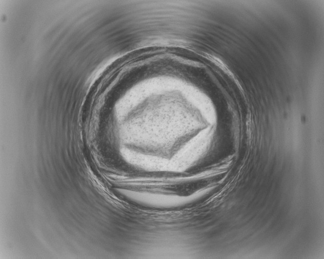 X0000052640972200507221811