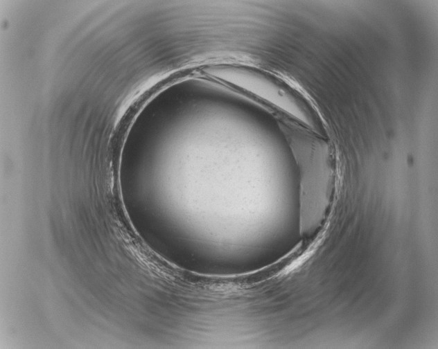 X0000052640973200507221811