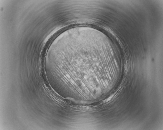 X0000052640975200507221811