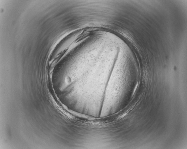 X0000052640976200507221811