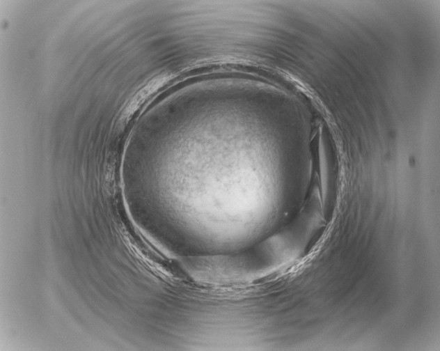 X0000052640977200507221811