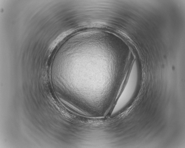 X0000052640978200507221811