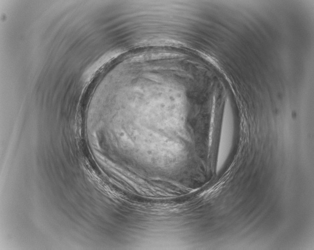 X0000052640979200507221811