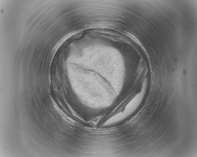 X0000052640980200507221811