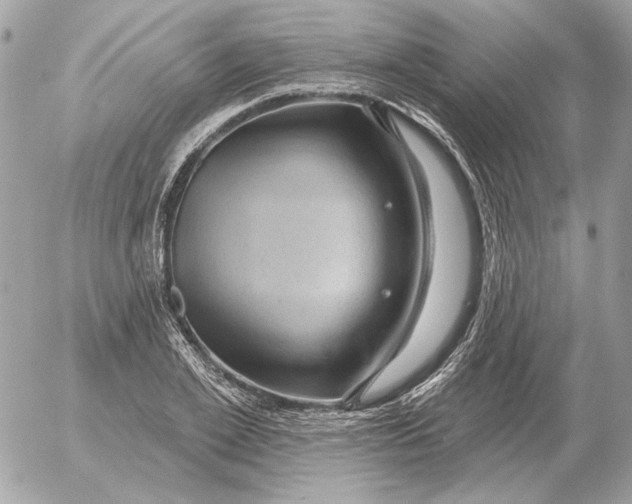 X0000052640981200507221811