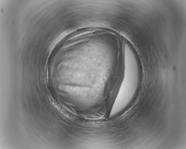 X0000052640982200507221811