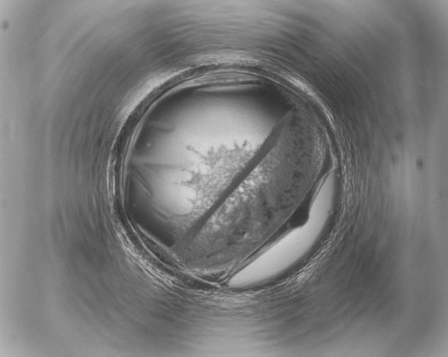 X0000052640983200507221811